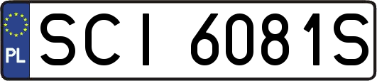 SCI6081S