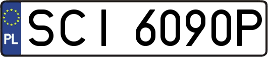 SCI6090P