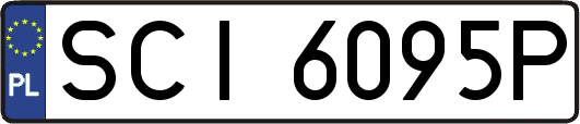SCI6095P