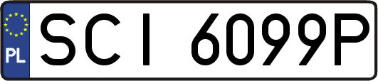 SCI6099P