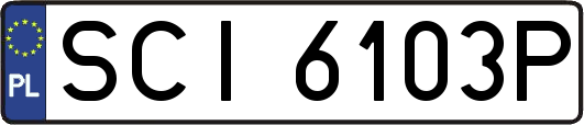 SCI6103P