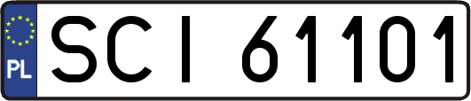 SCI61101