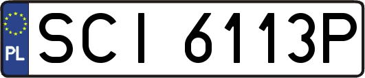 SCI6113P