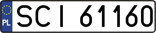 SCI61160