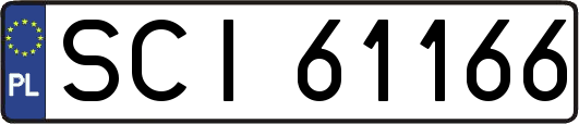 SCI61166