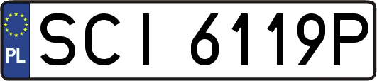 SCI6119P
