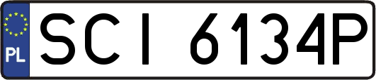 SCI6134P
