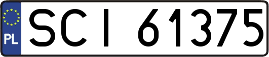 SCI61375