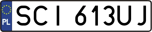 SCI613UJ
