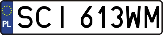 SCI613WM