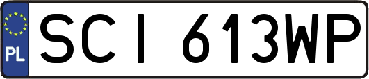 SCI613WP