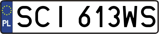 SCI613WS