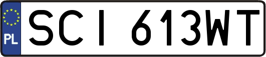 SCI613WT