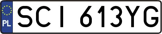 SCI613YG