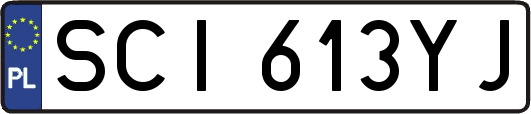 SCI613YJ