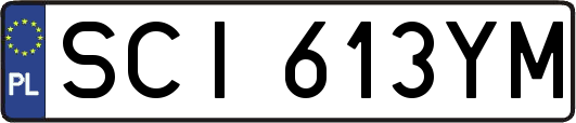 SCI613YM