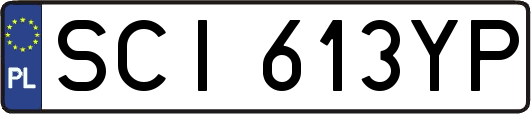 SCI613YP