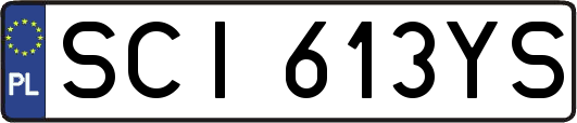 SCI613YS