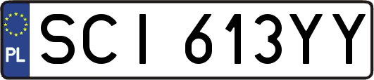SCI613YY