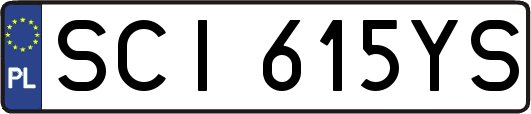 SCI615YS