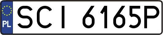 SCI6165P