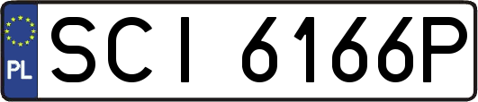 SCI6166P