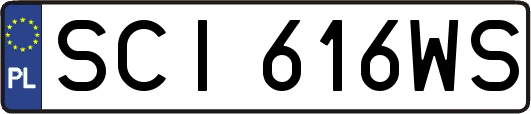 SCI616WS