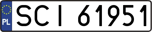 SCI61951