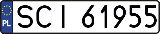 SCI61955