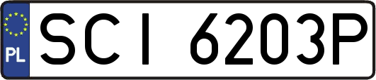 SCI6203P