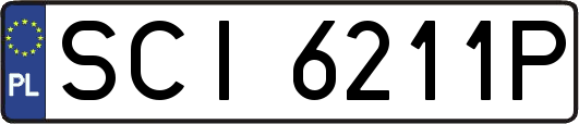 SCI6211P