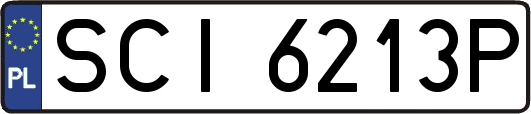 SCI6213P