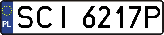 SCI6217P