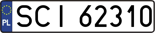 SCI62310