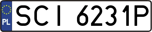 SCI6231P