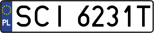 SCI6231T