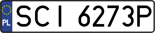 SCI6273P