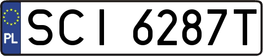 SCI6287T