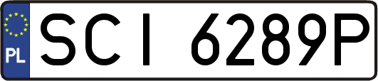 SCI6289P