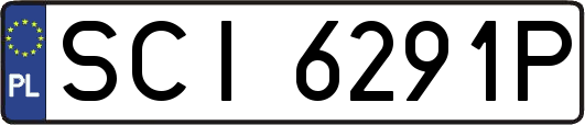 SCI6291P