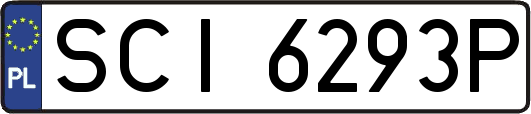 SCI6293P