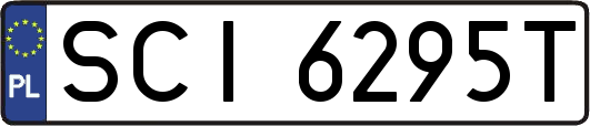 SCI6295T