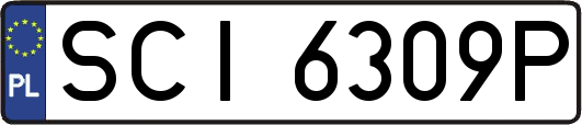 SCI6309P