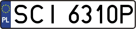 SCI6310P