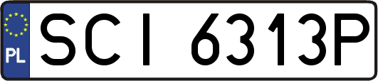 SCI6313P