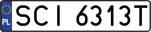 SCI6313T