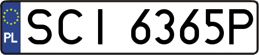 SCI6365P