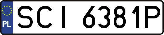 SCI6381P
