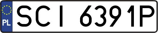 SCI6391P