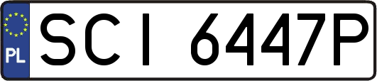 SCI6447P